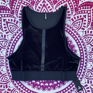NWT Altitude Velvet Crop Top by Carbon38